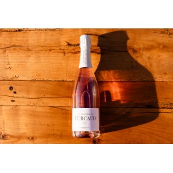 Bordeaux Crémant Blanc 